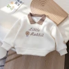 A new Korean-style rabbit-embroidered hoodie for girls in autumn 2024, a stylish top for babies in spring and autumn details Picture